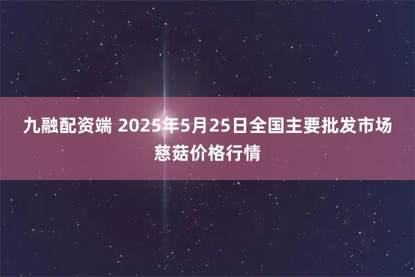 九融配资端 2025年5月25日全国主要批发市场慈菇价格行情