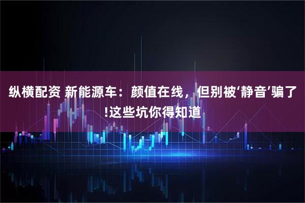 纵横配资 新能源车：颜值在线，但别被‘静音’骗了!这些坑你得知道